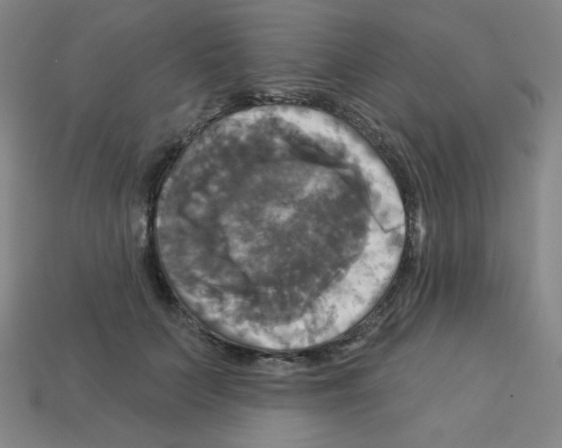 X0000113050703200910081231