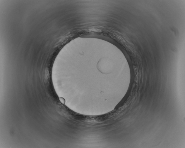 X0000113050704200910081231