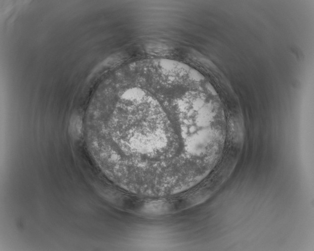 X0000113050705200910081231