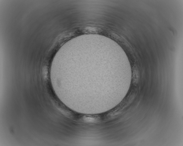 X0000113050706200910081231