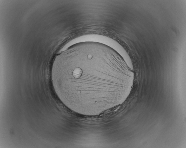 X0000113050708200910081231