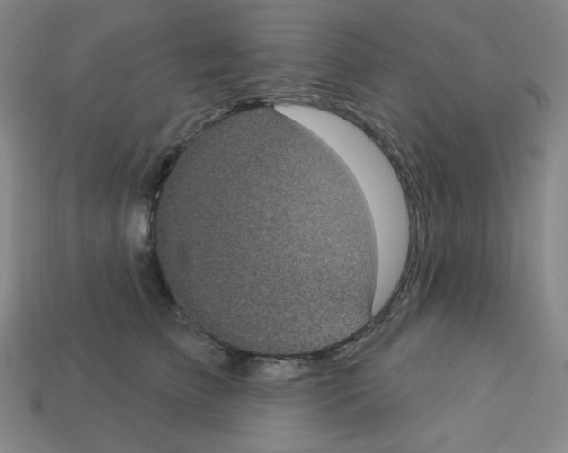 X0000113050709200910081231
