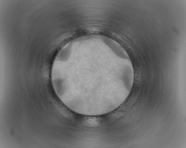 X0000113050710200910081231