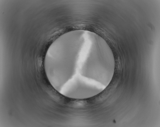 X0000113050711200910081231