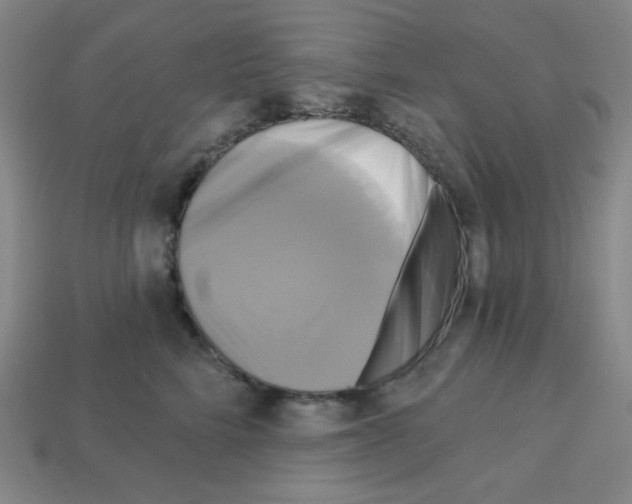 X0000113050712200910081231
