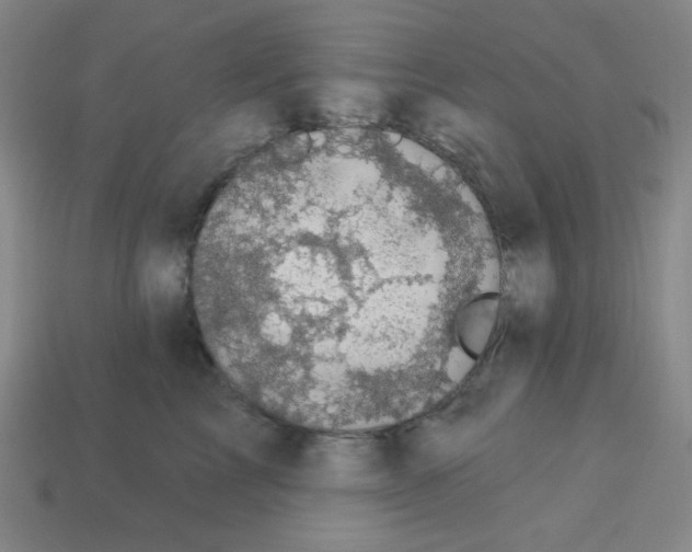 X0000113050713200910081231