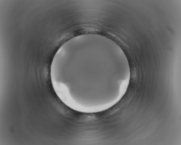 X0000113050715200910081231