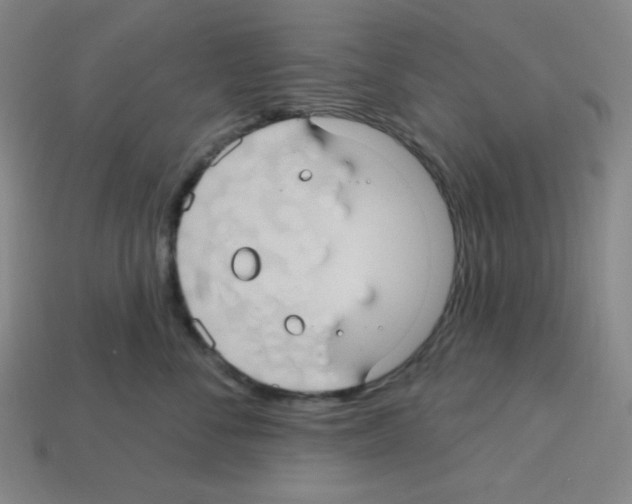 X0000113050716200910081231