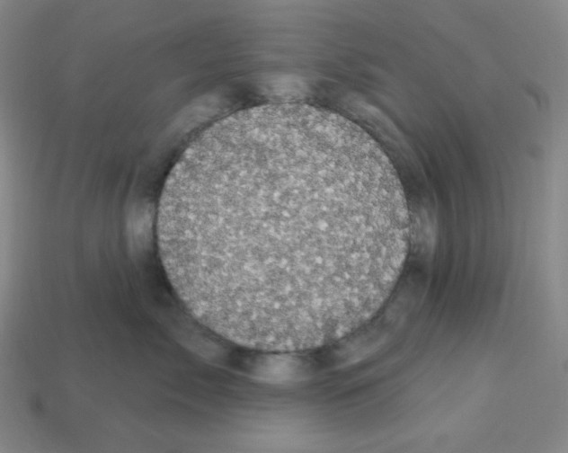 X0000113050717200910081231