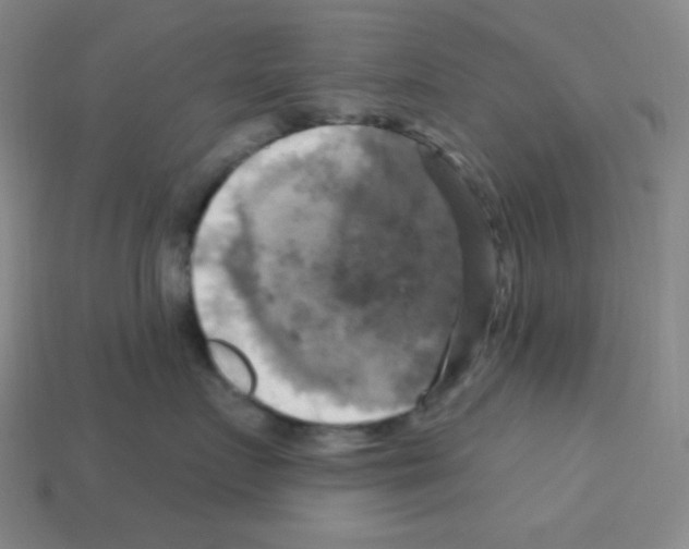 X0000113050719200910081231
