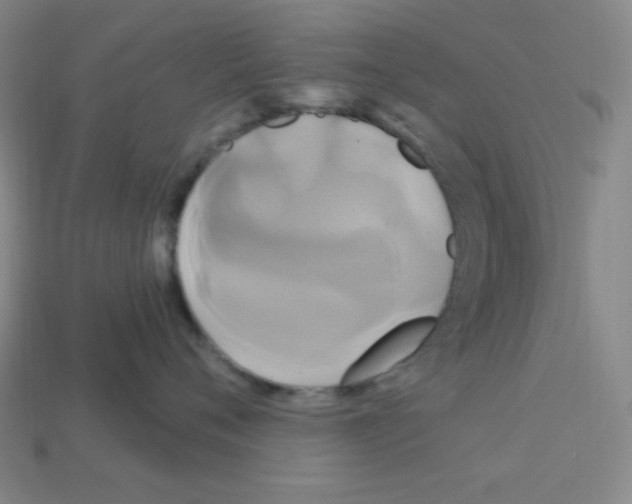 X0000113050720200910081231