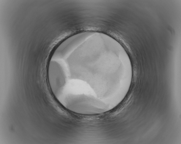 X0000113050721200910081231