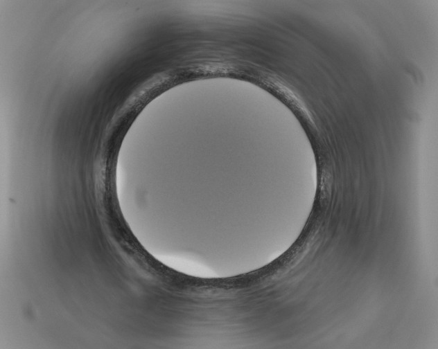 X0000113050722200910081231