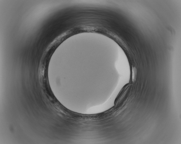 X0000113050723200910081231