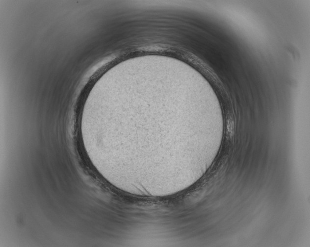X0000113050724200910081231