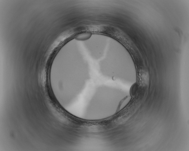 X0000113050726200910081231