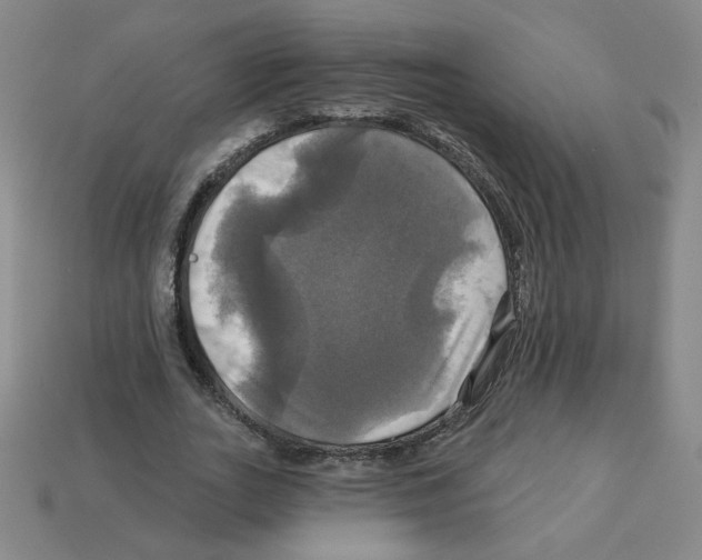 X0000113050727200910081231