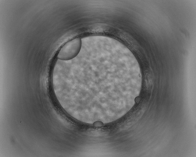 X0000113050728200910081231