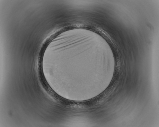 X0000113050730200910081231