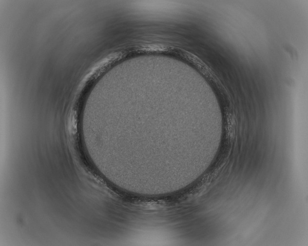 X0000113050731200910081231