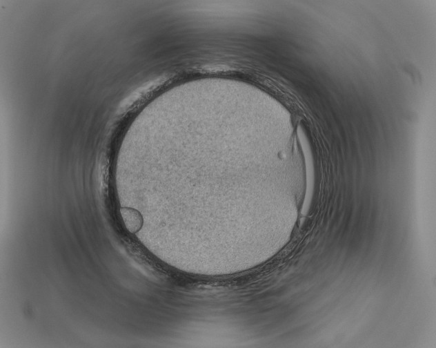X0000113050732200910081231