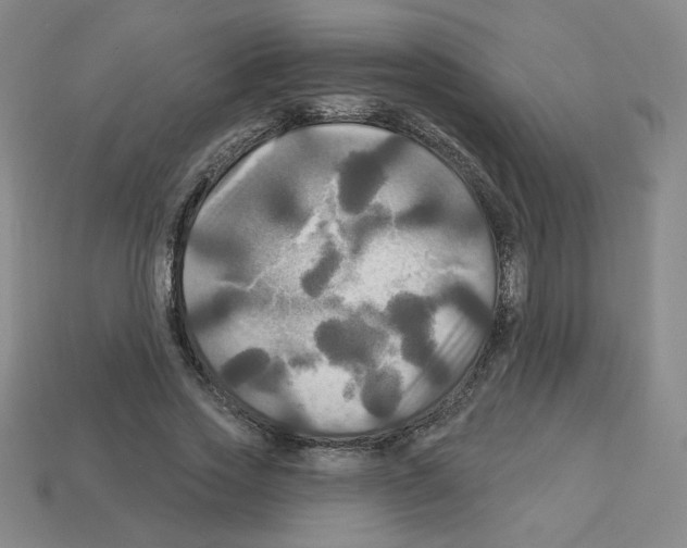 X0000113050733200910081231