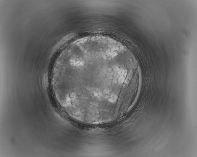 X0000113050734200910081231