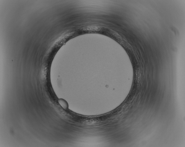 X0000113050735200910081231