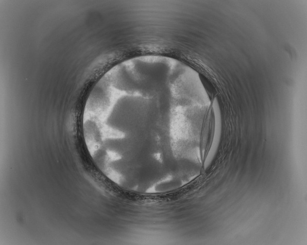 X0000113050738200910081231