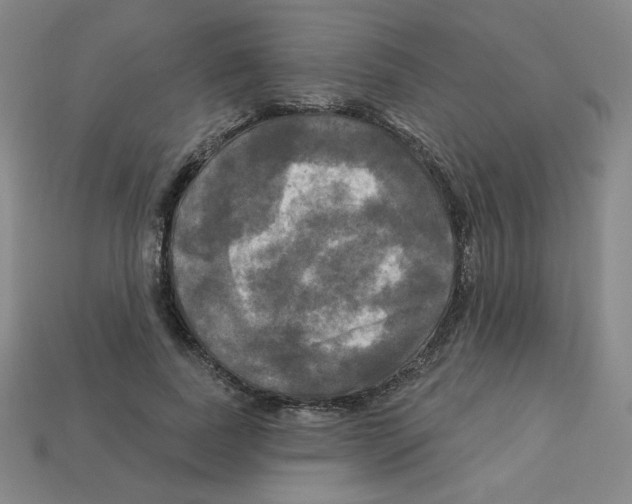 X0000113050739200910081231