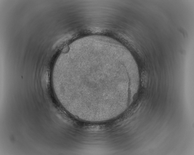 X0000113050740200910081231