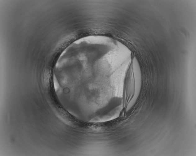 X0000113050742200910081231