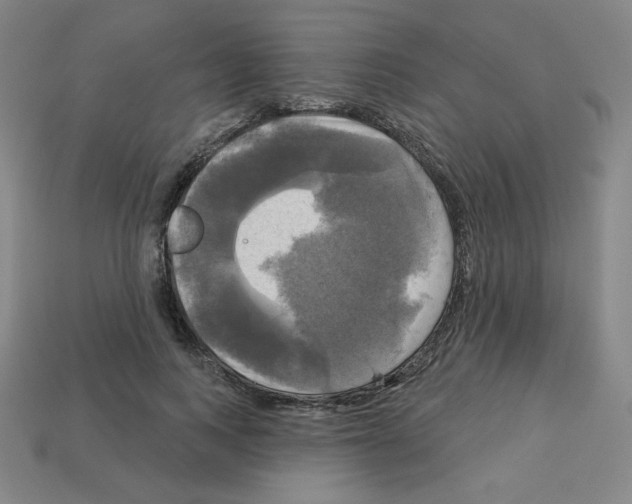 X0000113050743200910081231