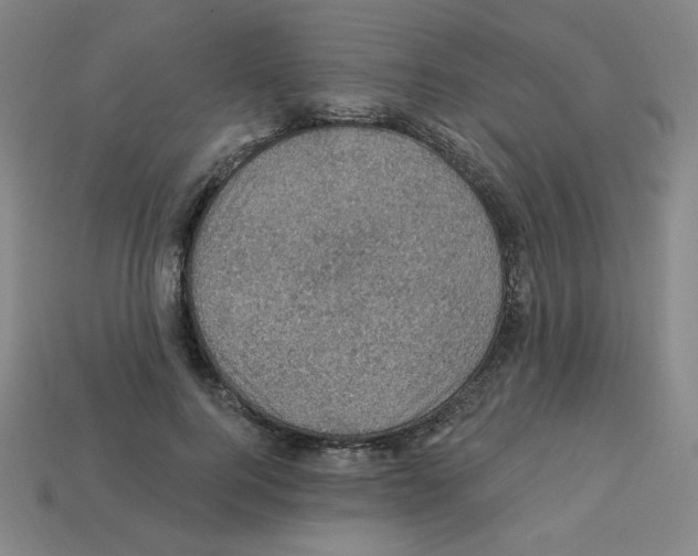 X0000113050744200910081231