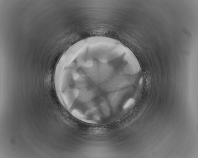 X0000113050745200910081231