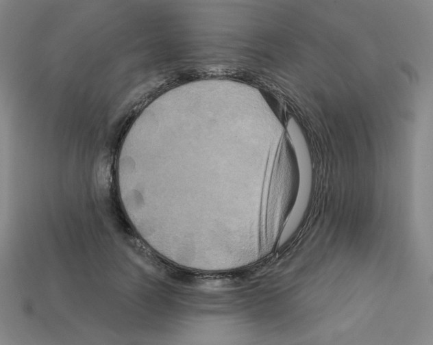 X0000113050746200910081231