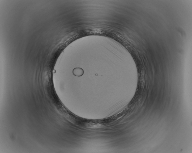 X0000113050747200910081231