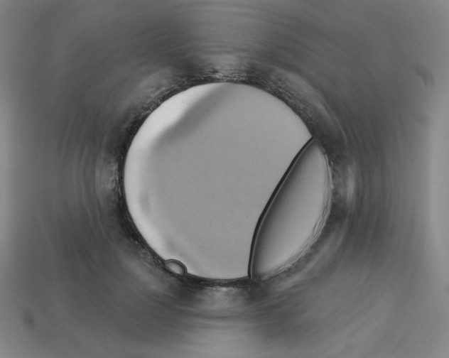 X0000113050748200910081231