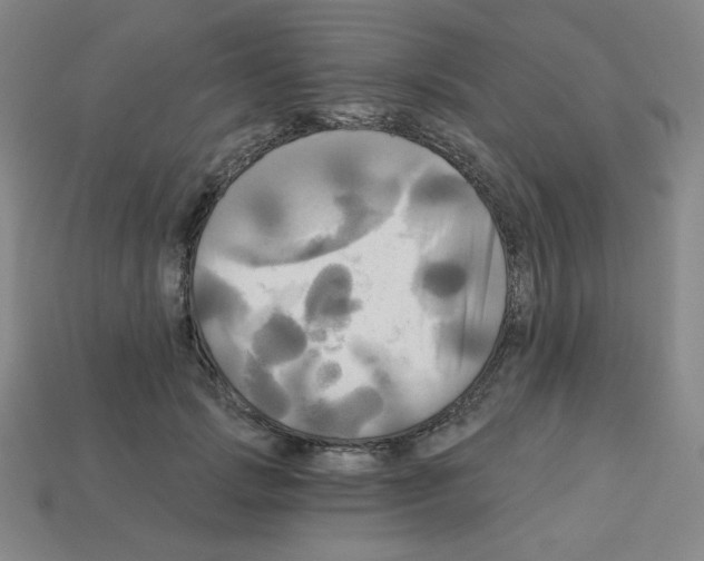 X0000113050749200910081231
