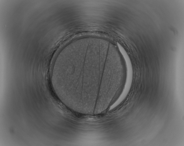 X0000113050750200910081231