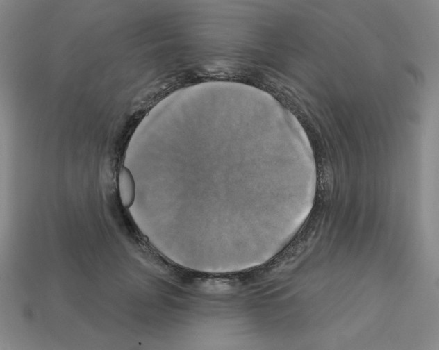 X0000113050751200910081231