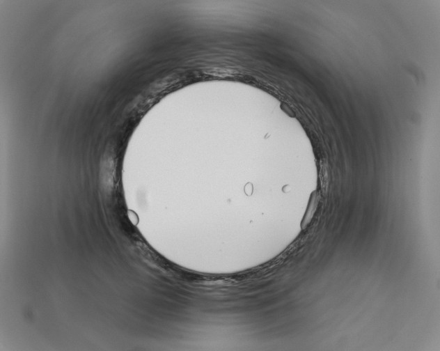 X0000113050752200910081231