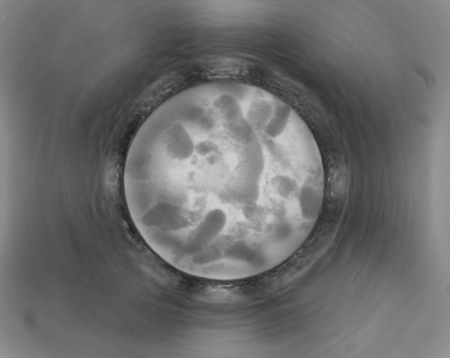 X0000113050753200910081231