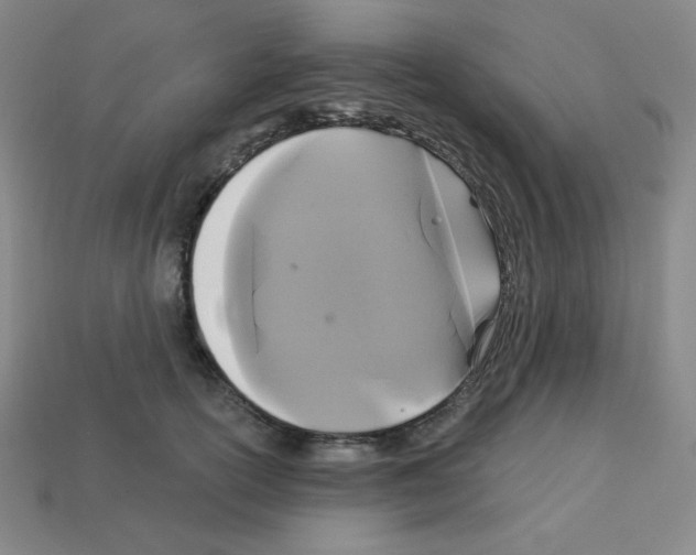 X0000113050754200910081231