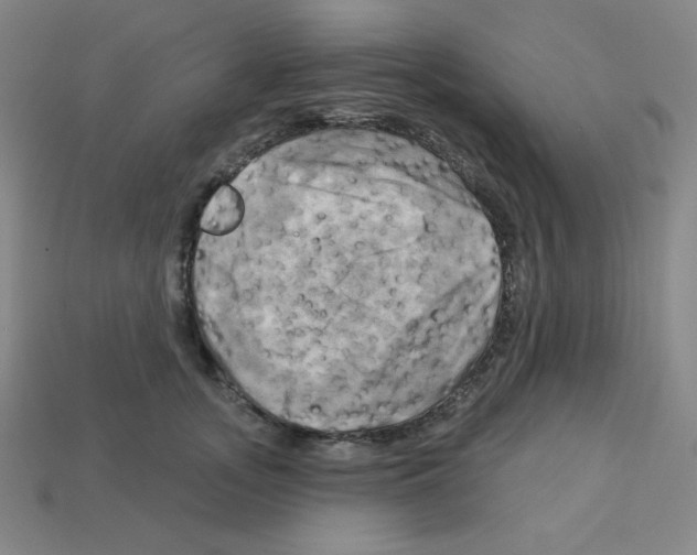 X0000113050755200910081231