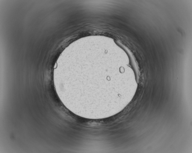 X0000113050756200910081231