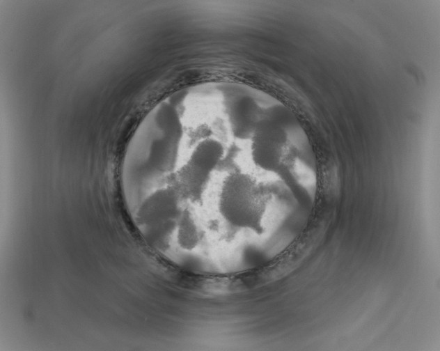 X0000113050757200910081231