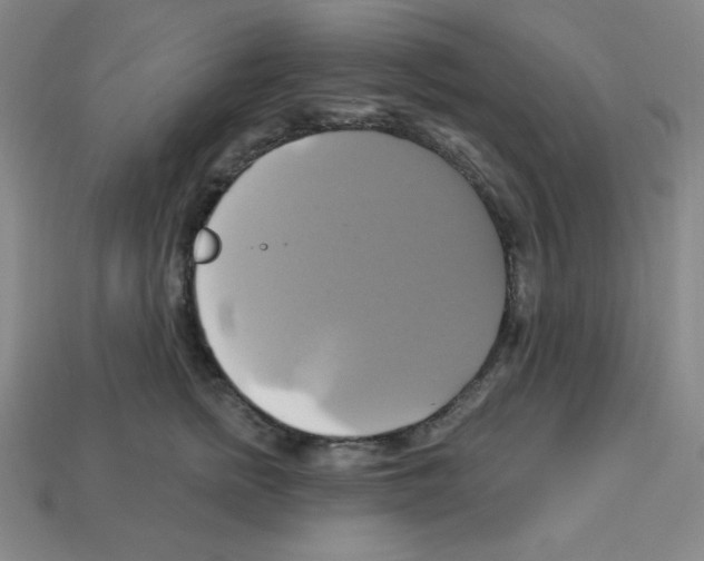 X0000113050758200910081231