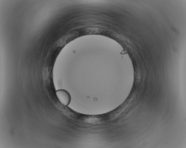 X0000113050759200910081231