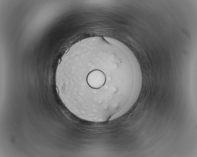 X0000113050760200910081231